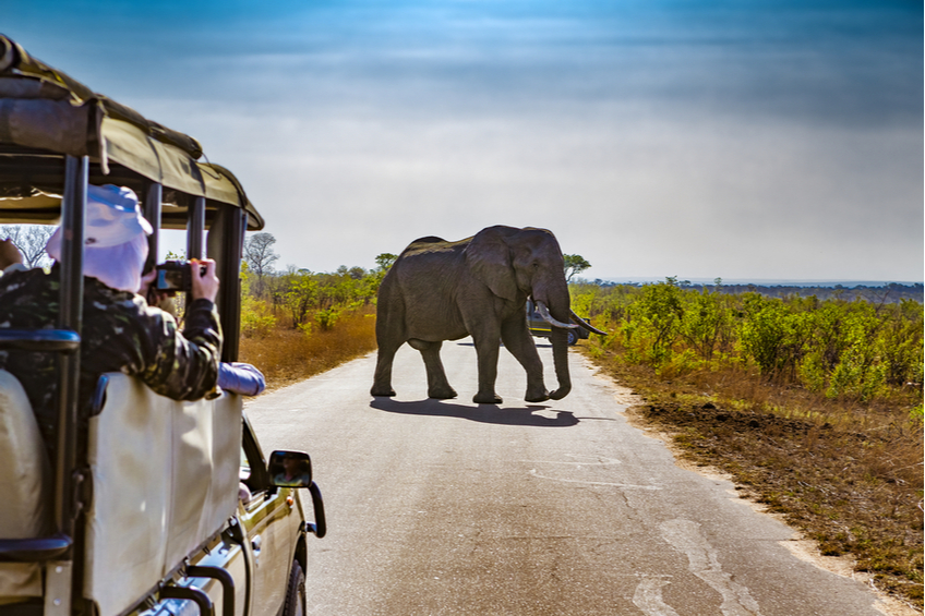 narodni park kruger