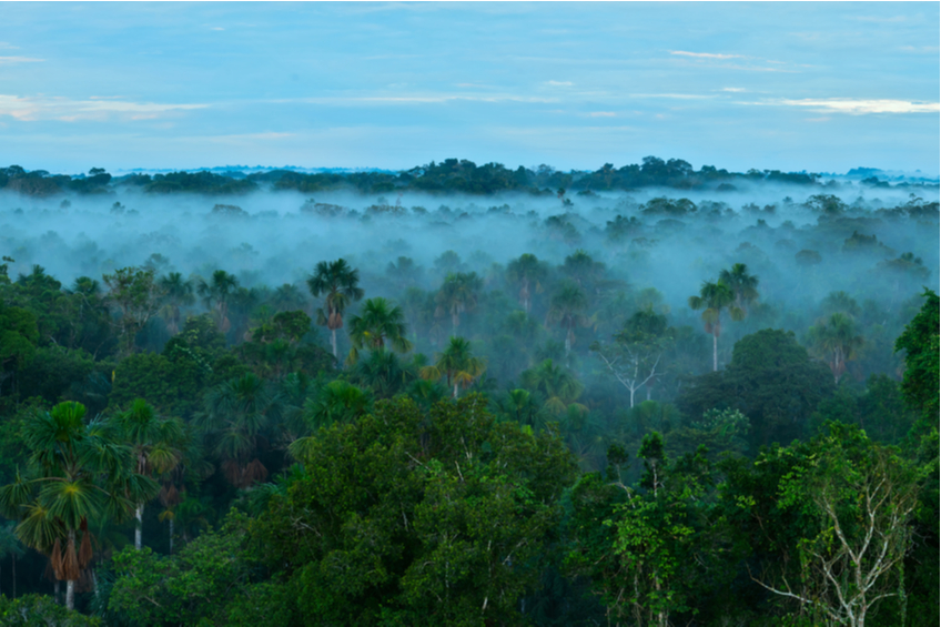 amazonsky prales