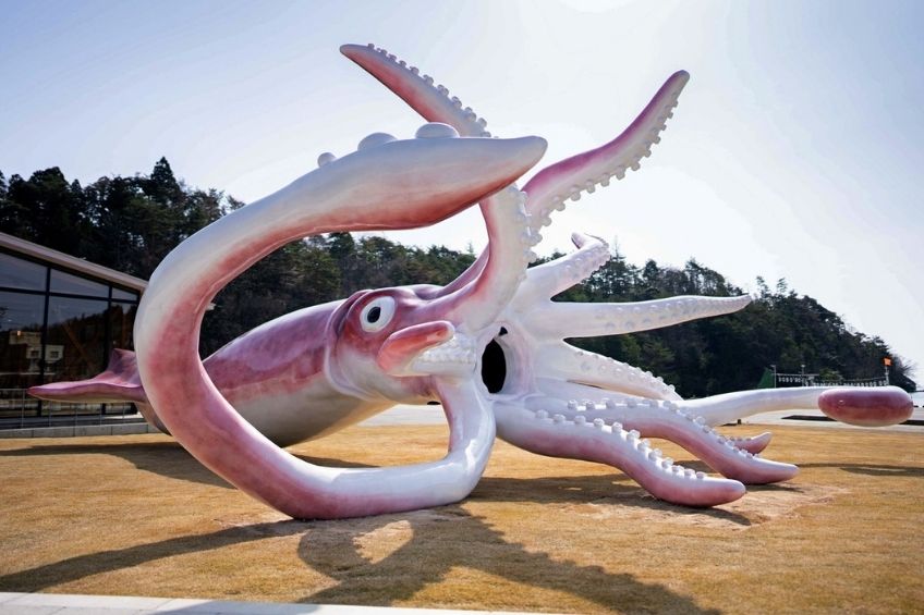 socha chobotnice