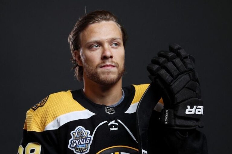 david pastrnak hokej