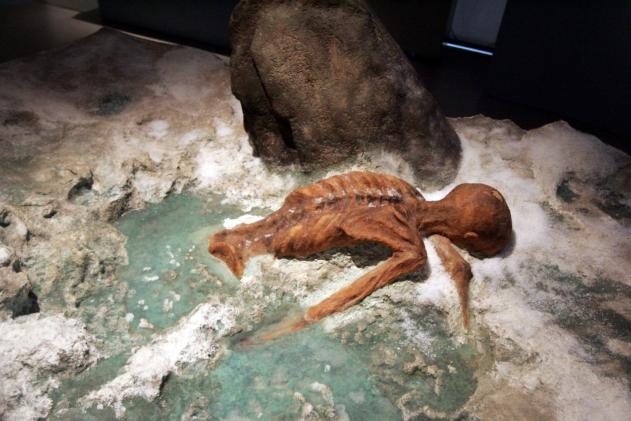 otzi